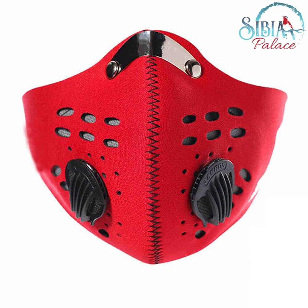 Face Mask With Breathing Dual Valve With Filters Anti Spit Bacteria Dust  Pollen – Sibia Palace