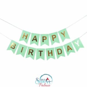 Sibia Palace Happy Birthday Teal Mint Party Supplies Banner Pennant