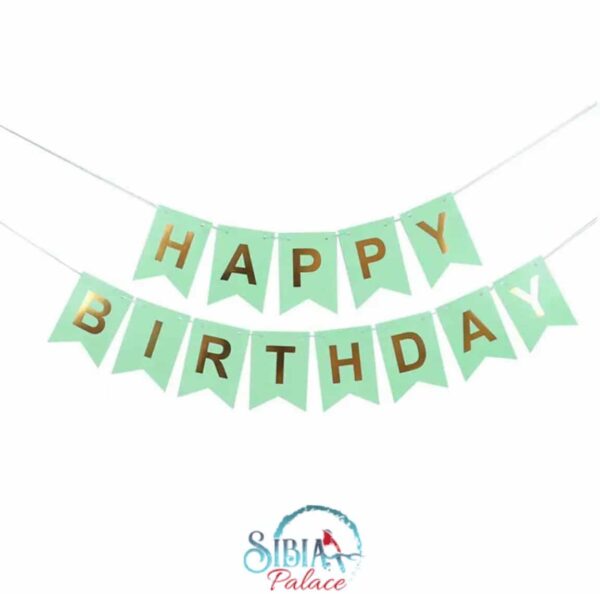 Sibia Palace Happy Birthday Teal Mint Party Supplies Banner Pennant