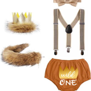 Wild One Jungle Lion Safari Baby Boy Cake Smash Photoshoot Outfit Set