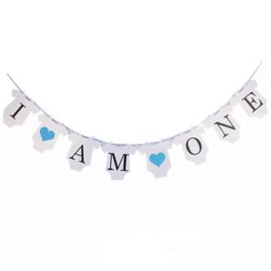 Sibia Palace I Am One Baby Boy Party Supplies Blue Banner Pennant