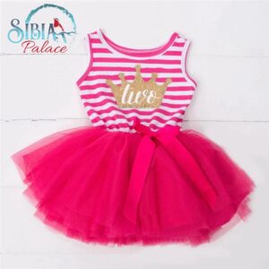 Sibia Palace Baby Girl Rose Pink Two 2nd Birthday Dress Frock Outfit