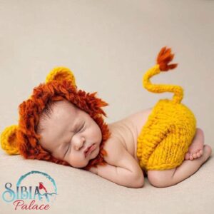 Baby Handmade Crochet Photo shoot Prop Lion King Simba Costume