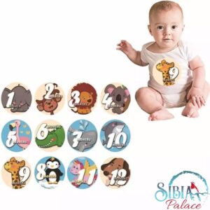 Baby 1-12 Months Milestone Photo Shoot Prop Stickers Animals Set