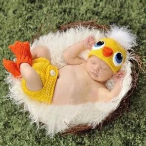 Sibia Palace Photo shoot Costume Prop Handmade My Little Chick Baby